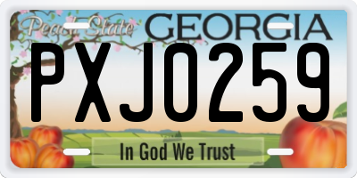 GA license plate PXJ0259