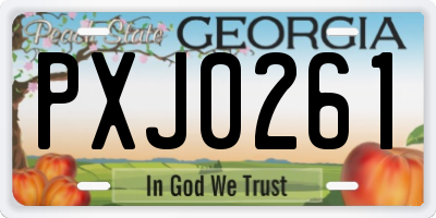 GA license plate PXJ0261