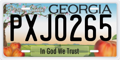 GA license plate PXJ0265