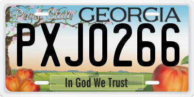 GA license plate PXJ0266