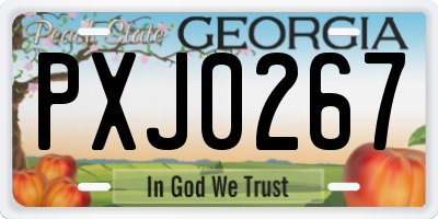 GA license plate PXJ0267