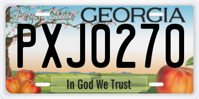 GA license plate PXJ0270