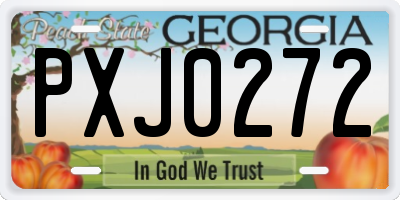 GA license plate PXJ0272