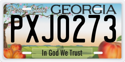 GA license plate PXJ0273