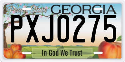 GA license plate PXJ0275