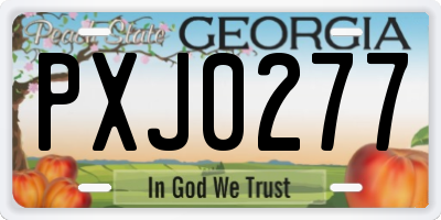 GA license plate PXJ0277