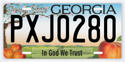 GA license plate PXJ0280