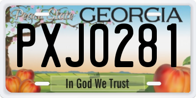 GA license plate PXJ0281