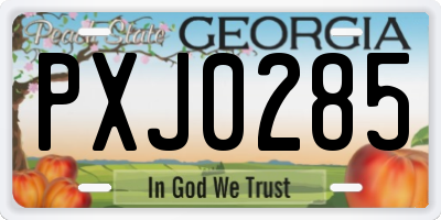 GA license plate PXJ0285