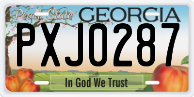 GA license plate PXJ0287