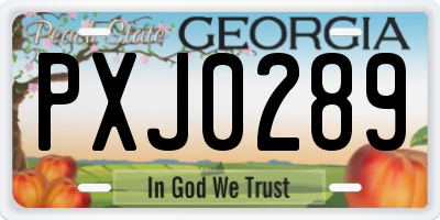 GA license plate PXJ0289