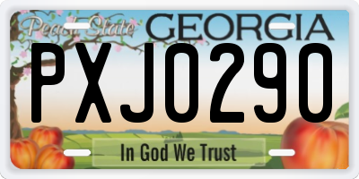 GA license plate PXJ0290