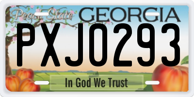 GA license plate PXJ0293