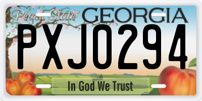 GA license plate PXJ0294