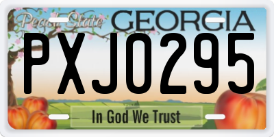 GA license plate PXJ0295