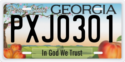 GA license plate PXJ0301