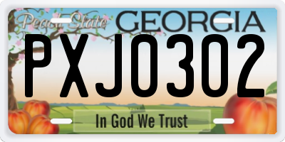 GA license plate PXJ0302
