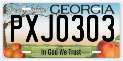 GA license plate PXJ0303