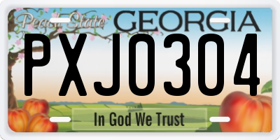 GA license plate PXJ0304