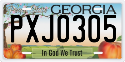 GA license plate PXJ0305