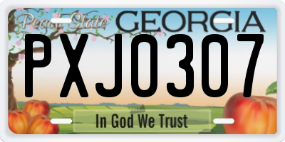 GA license plate PXJ0307