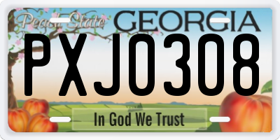 GA license plate PXJ0308
