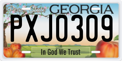 GA license plate PXJ0309