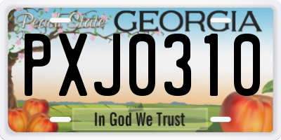 GA license plate PXJ0310
