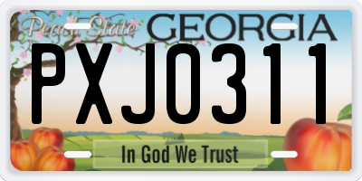 GA license plate PXJ0311