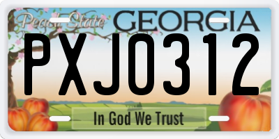 GA license plate PXJ0312