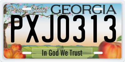GA license plate PXJ0313