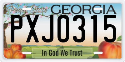GA license plate PXJ0315