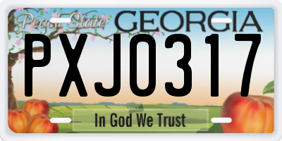 GA license plate PXJ0317