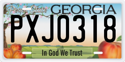 GA license plate PXJ0318