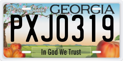 GA license plate PXJ0319