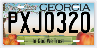 GA license plate PXJ0320