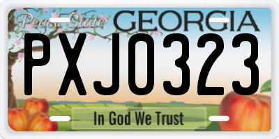 GA license plate PXJ0323