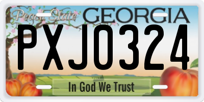 GA license plate PXJ0324