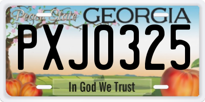 GA license plate PXJ0325