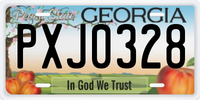 GA license plate PXJ0328