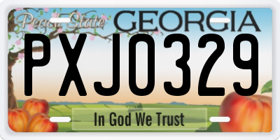 GA license plate PXJ0329