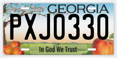 GA license plate PXJ0330