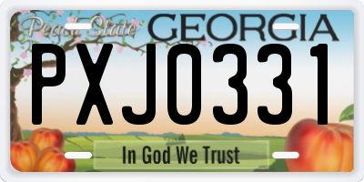 GA license plate PXJ0331