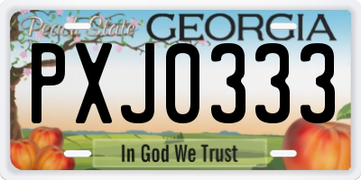 GA license plate PXJ0333