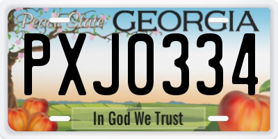 GA license plate PXJ0334