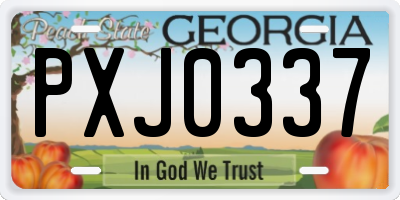 GA license plate PXJ0337