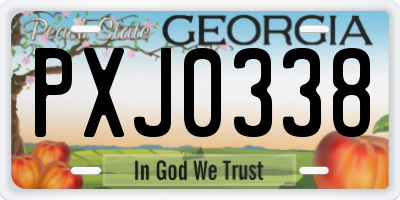GA license plate PXJ0338