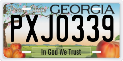 GA license plate PXJ0339