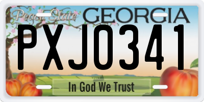 GA license plate PXJ0341