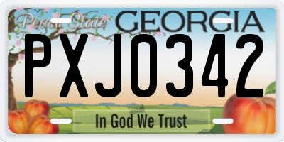 GA license plate PXJ0342